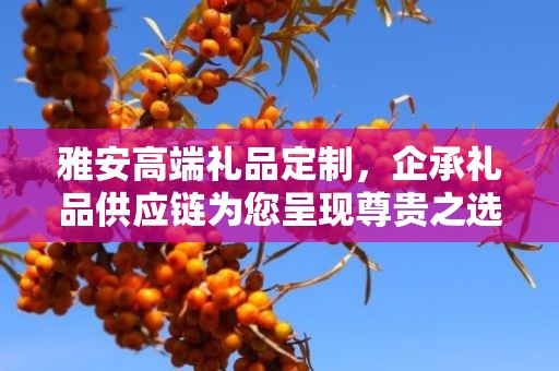 雅安高端礼品定制，企承礼品供应链为您呈现尊贵之选